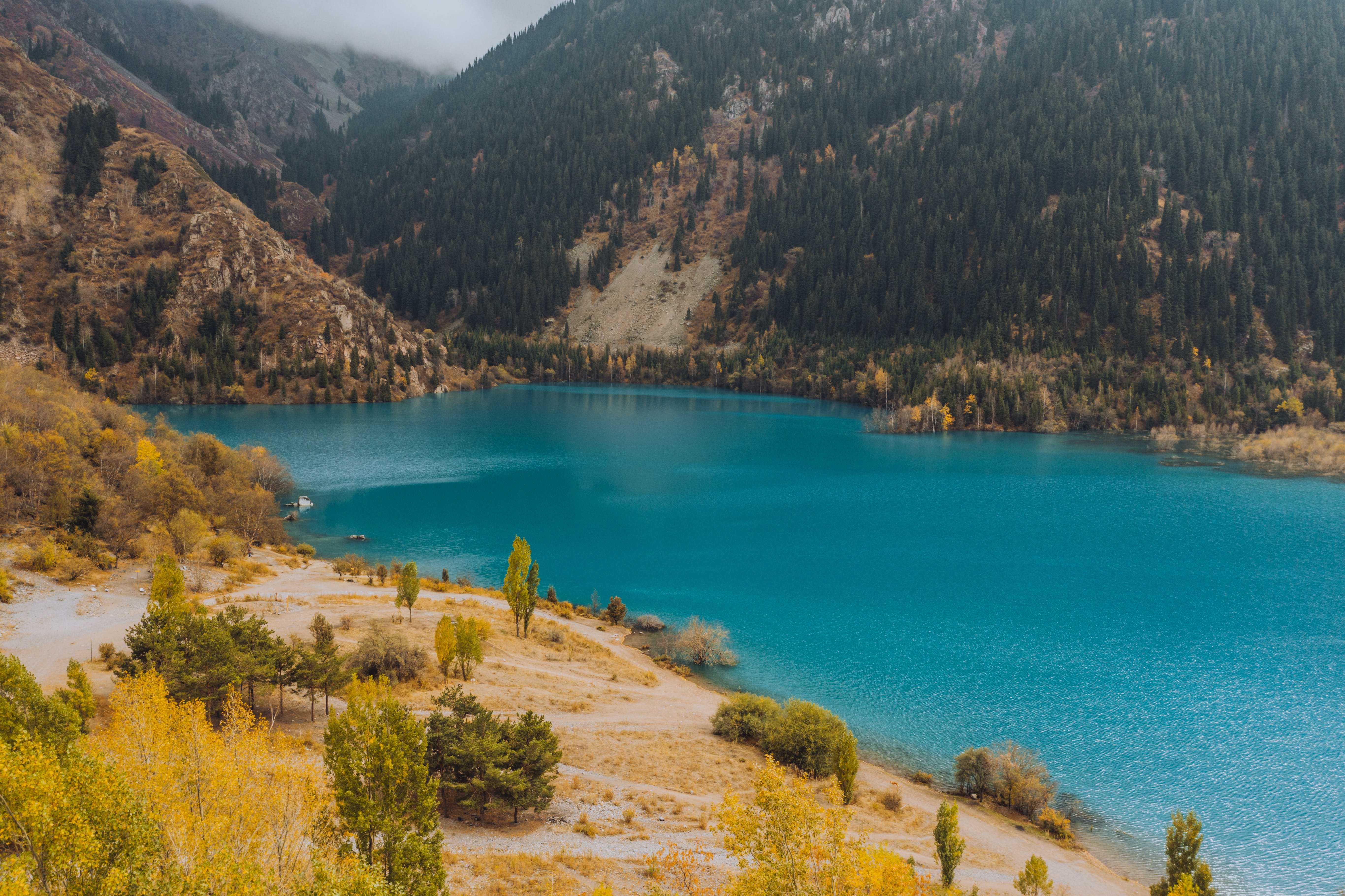 Сочиде секс үшін қыз