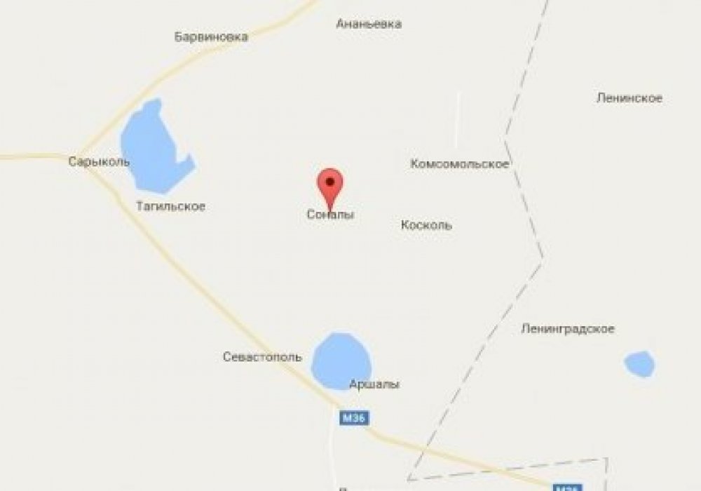 Соналы ауылы Қостанай облысының маңында орналасқан. © Google Maps