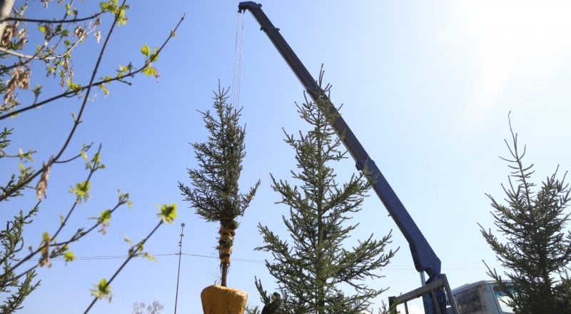 Сурет Алматы қаласы Жасыл экономика басқармасынан