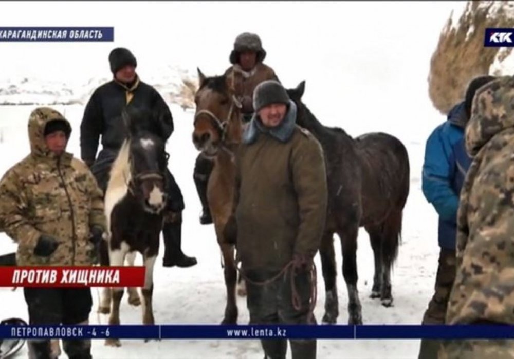 видеодан үзінді