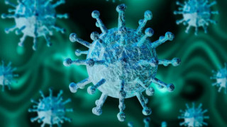 Ғалымдар коронавирустың таралуы туралы танымал мифті жоққа шығарды