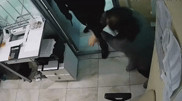Алматы тұрғыны қарақшылық шабуыл жасау кезінде түрін жасыру үшін қасының пішінін өзгерткен