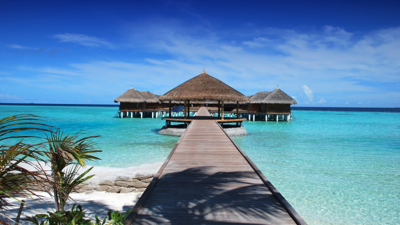 Мальдив аралдары Фото: pixabay.com