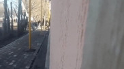Қызылорда облысында жаппай төбелес видеоға түсіп қалған