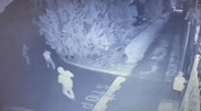 ҰҚК Тараздағы атыстың видеосына қатысты пікір білдірді