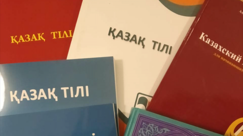 Депутат қазақ тілін оқытатын арнайы курстар ашуды ұсынды