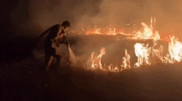 ШҚО-да өрттің негізгі бөлігі оқшауланды - ТЖД