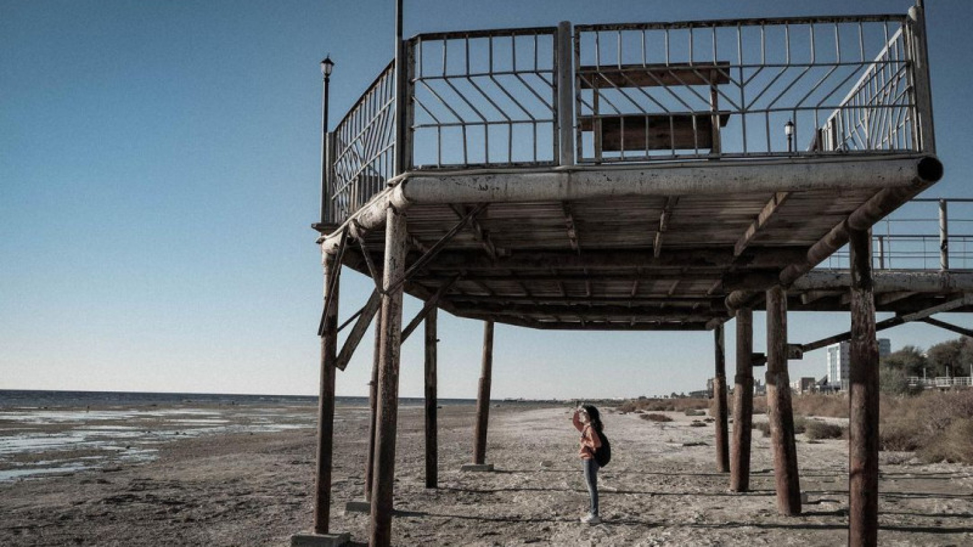 Остро стоящие. Каспийское море. Тюлени в Каспийском море. Рыбная точка Каспийск. Джумай вода в Каспийске.