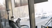 Алматыда телефон ұстаған автобус жүргізушісі видеоға түсіп қалған