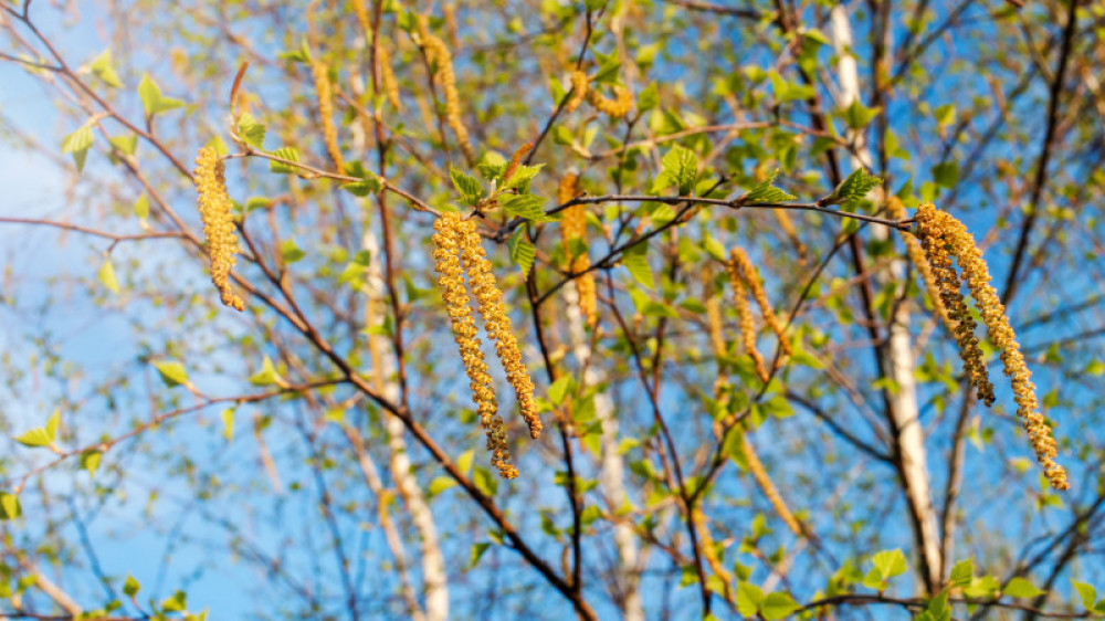 фото:elements.envato.com