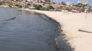 Ақтауда Каспий жағалауындағы су қара түске боялды