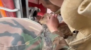 Астана маңында бұғының лағын құтқару сәтінің видеосы пайда болды