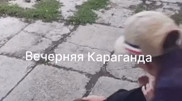 "Көмектесіңіздер, анамды ұрып жатыр": блогер оқиғаның егжей-тегжейін айтты