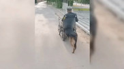 Таразда Хатиконың арбадан құлап қалған иесін қорғаған видеосы тарады