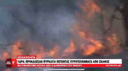 Қазақстандықтар Грекиядағы аралды өртеп жіберген - БАҚ