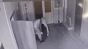 Ақмола облысында кеңседен сейфті ұрлағандар видеоға түсіп қалды