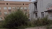 Астанада мектеп маңынан қыз өлі табылды
