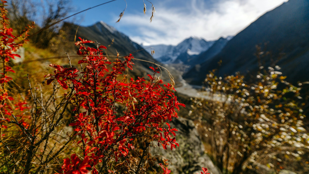 Фото:depositphotos.com