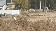 Ұзынағаштағы атыс: әкімдік видеоға қатысты пікір білдірді