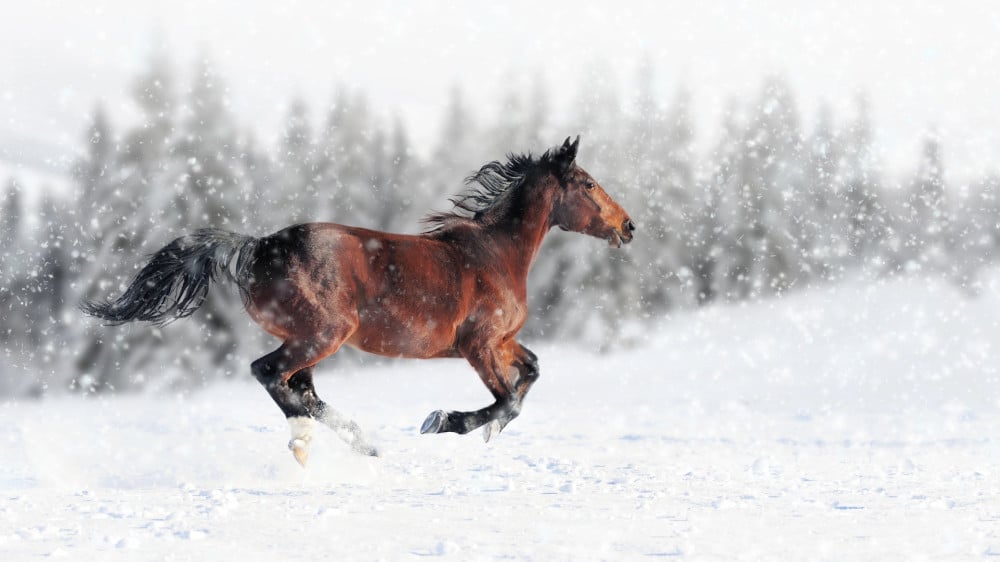 Фото:depositphotos.com