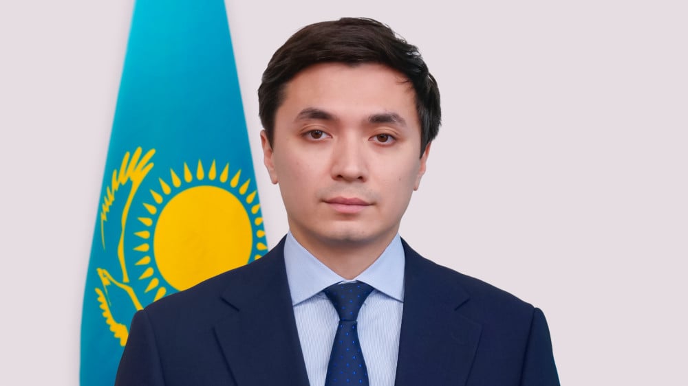 Дмитрий Мун. Фото:primeminister.kz