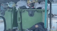 Астанада қоқыс жәшігі маңынан полицей формасы табылды