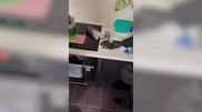 АҚШ-тан келген “тәтті“ сәлемдеме: Алматы тұрғынына қылмыстық іс қозғалды