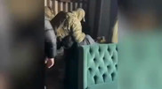 МҰҚК Қырғызстан президентінің “туысы“ ұсталған сәттің видеосын көрсетті