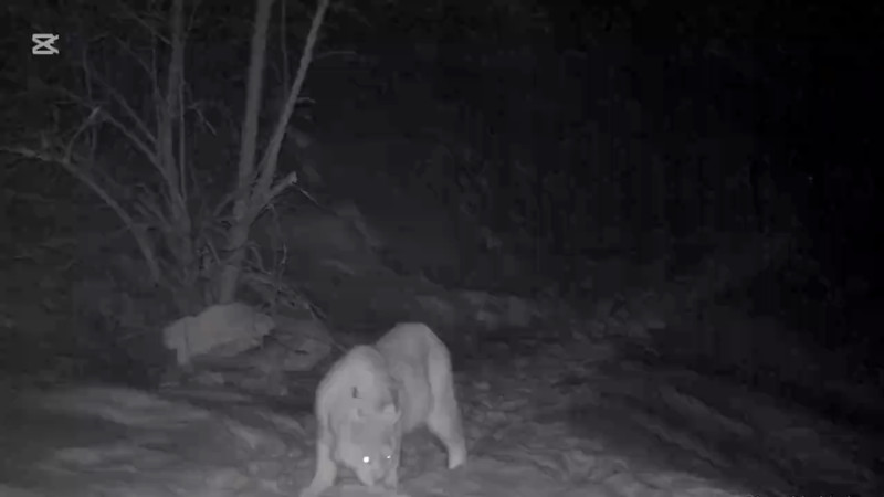 Фото:sauda.e-qazyna.kz