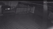 Қазақстанның оңтүстігінде түнде жер сілкінді: видео