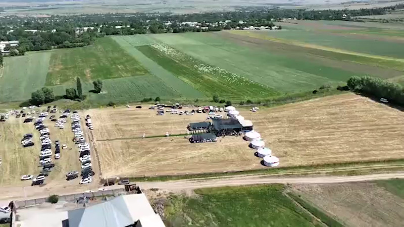 видео кадры