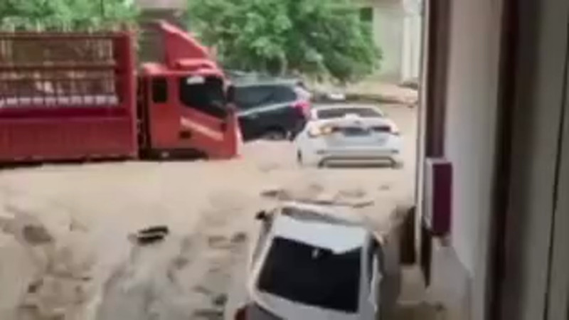 видео кадры