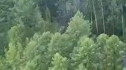 Тоқаев Путинге көңіл айтты